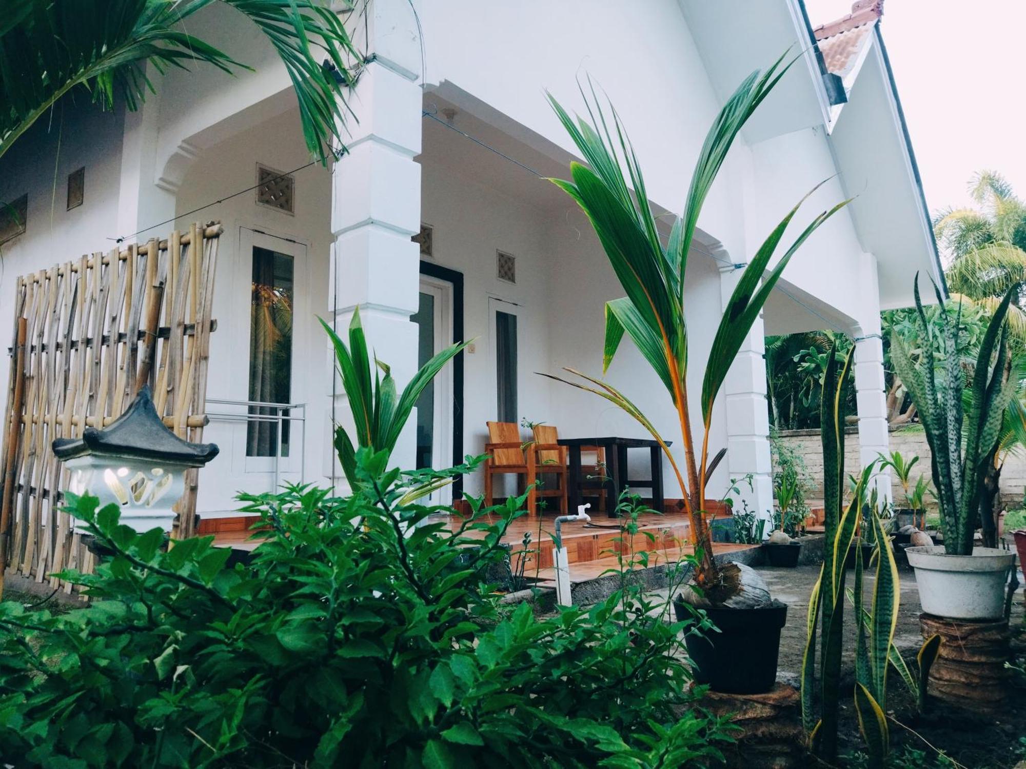 Balengku Homestay Gili Air Buitenkant foto